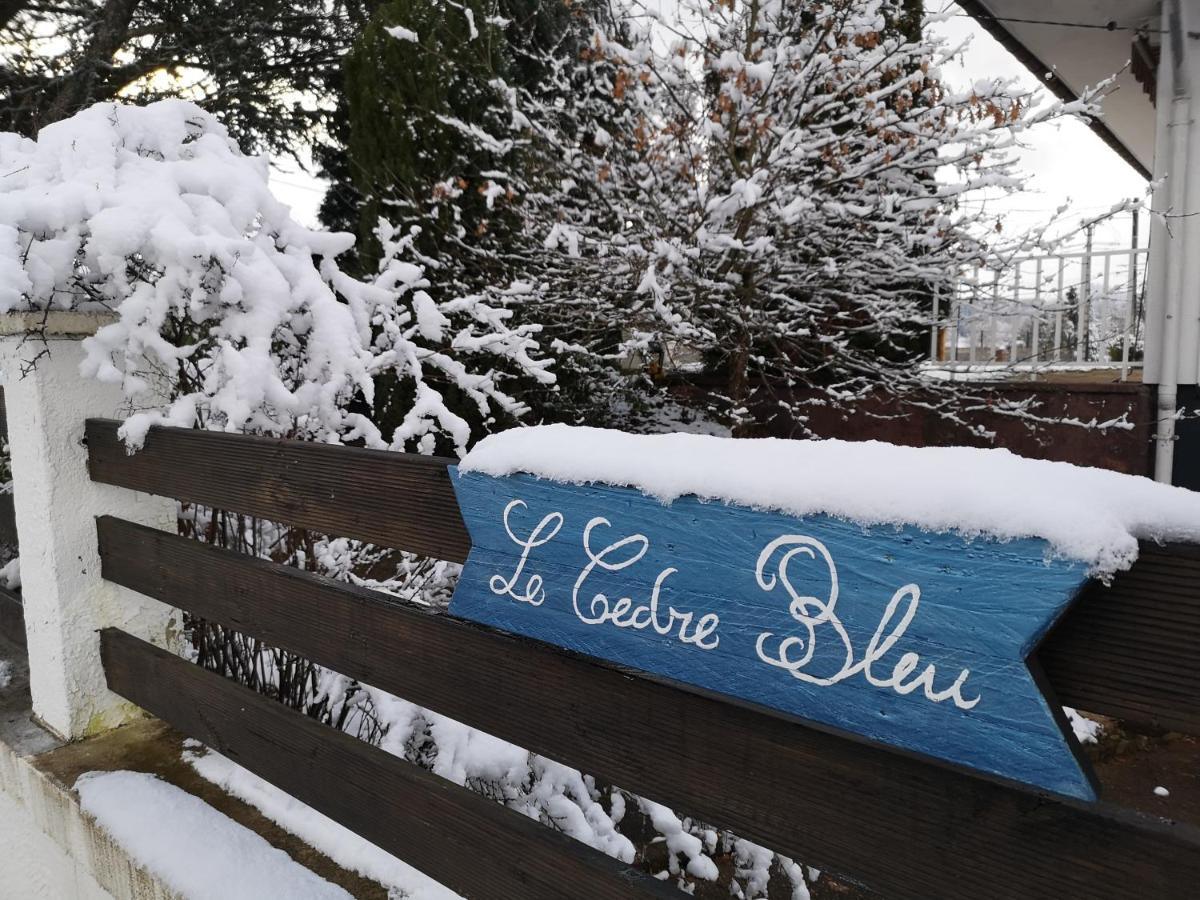 Hotel Le Cedre Bleu à Saint-Michel-sur-Meurthe Extérieur photo